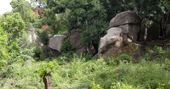 Iyamopo Shrine 